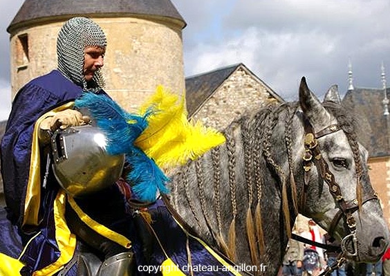 fetes_medievales_lieux_interet_histoire_patrimoine_historique_chateau_anguillon