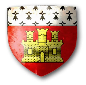 heraldique_dinan_bretagne_histoire_moyen-age_fetes_historiques_festival_medievales_fou_histoire