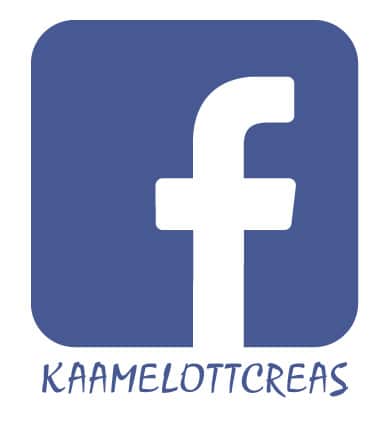 facebook_page_kaamelott_creation_humour_detournement_alexandre_astier