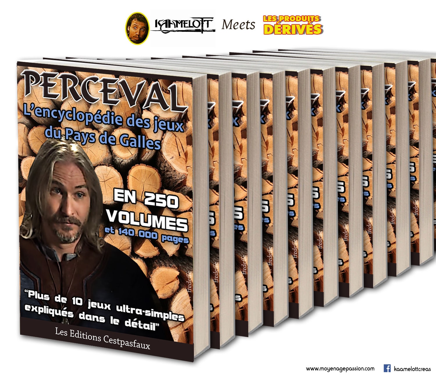 kaamelott_serie_televisee_legendes_arthuriennes_perceval_de_galles_franck_pitiot_humour_detournement_lecture
