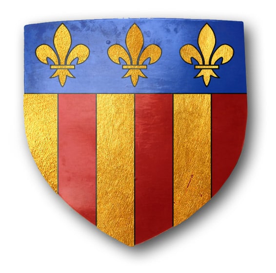 revues_historiques_fetes_animations_medievales_heraldique_armoirie_blason_amboise_val_de_loire