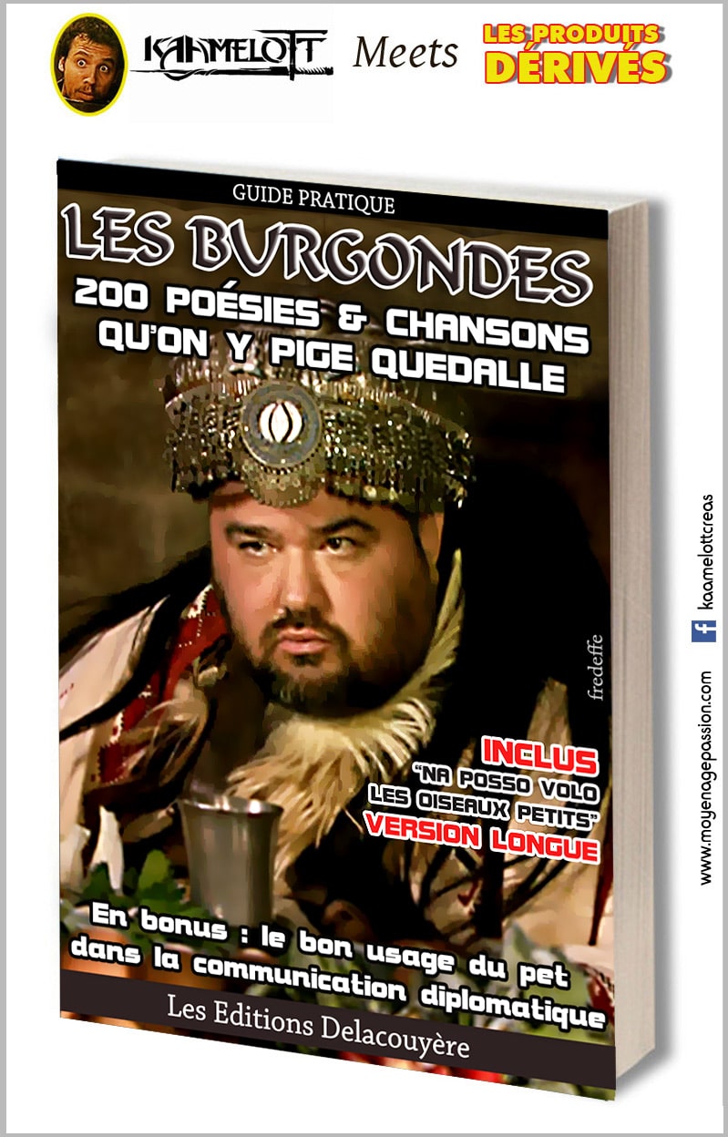 kaamelott_serie_televisee_livres_legendes_arthuriennes_alexandre_astier_roi_burgonde_guillaume_briat_humour_detournement_lecture