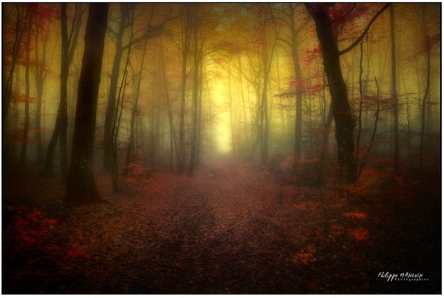 broceliande_beau_livre_foret_mythique_bretagne_legendes_arthuriennes_graal_roi_arthur_moyen-age_central