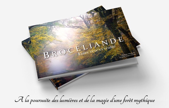 broceliande_beau_livre_foret_mythique_legendes_arthuriennes_roi_arthur_moyen-age_central