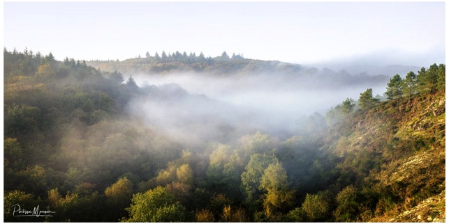 broceliande_beau_livre_photographie_foret_mythique_legendes_arthuriennes_graal_roi_arthur_moyen-age_central