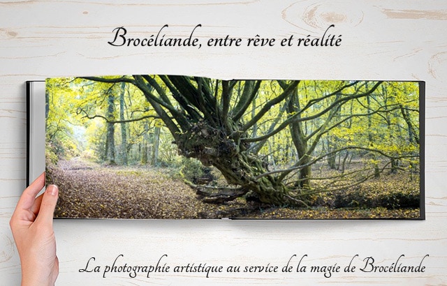 broceliande_beau_livre_photographie_foret_mythique_legendes_arthuriennes_roi_arthur_moyen-age_central