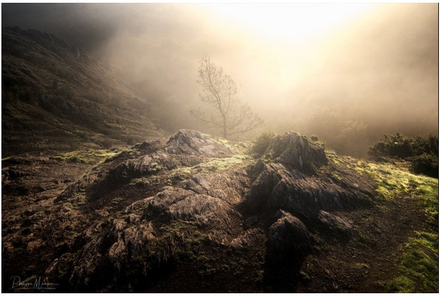 broceliande_foret_mythique_bretagne_legendes_roman_arthurien_roi_arthur_chretien_de_troyes_moyen-age_central