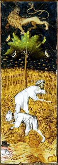 litterature_medievale_fabliaux_contes_poesie_satirique_paysans_vilains_manuscrit_ancien_rohan_moyen-age
