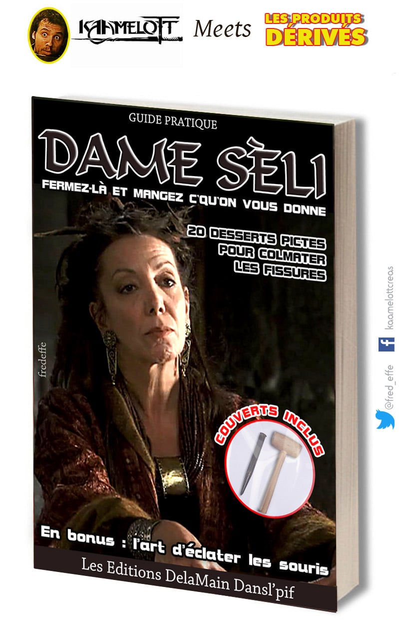 kaamelott_serie_televisee_culte_livre_dame_seli_joelle_-sevilla_alexandre_astier_humour_detournement