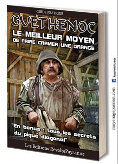 guethenoc_livre_kaamelott_humour_detournement_serie-tv