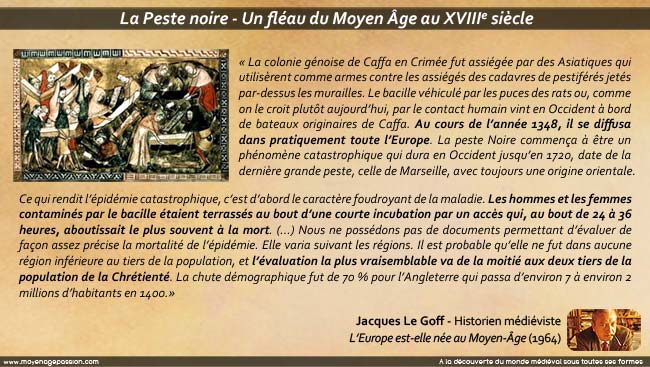 Une Citation illustrée de Jacques le Goff