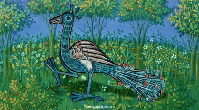 Fable médiévale : Le Paon mécontent son Chant,  Marie de France